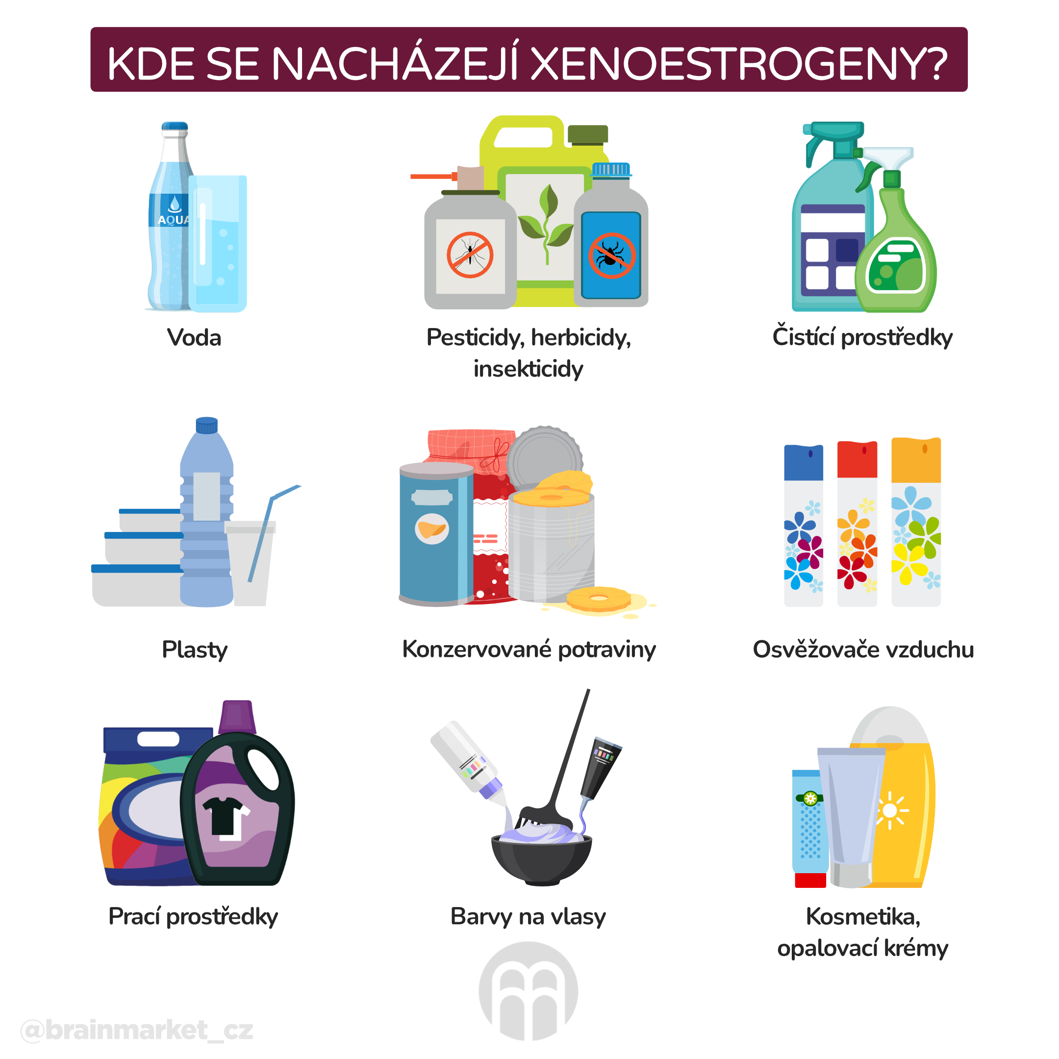 Kde se nacházejí xenoestrogeny__infografika_cz